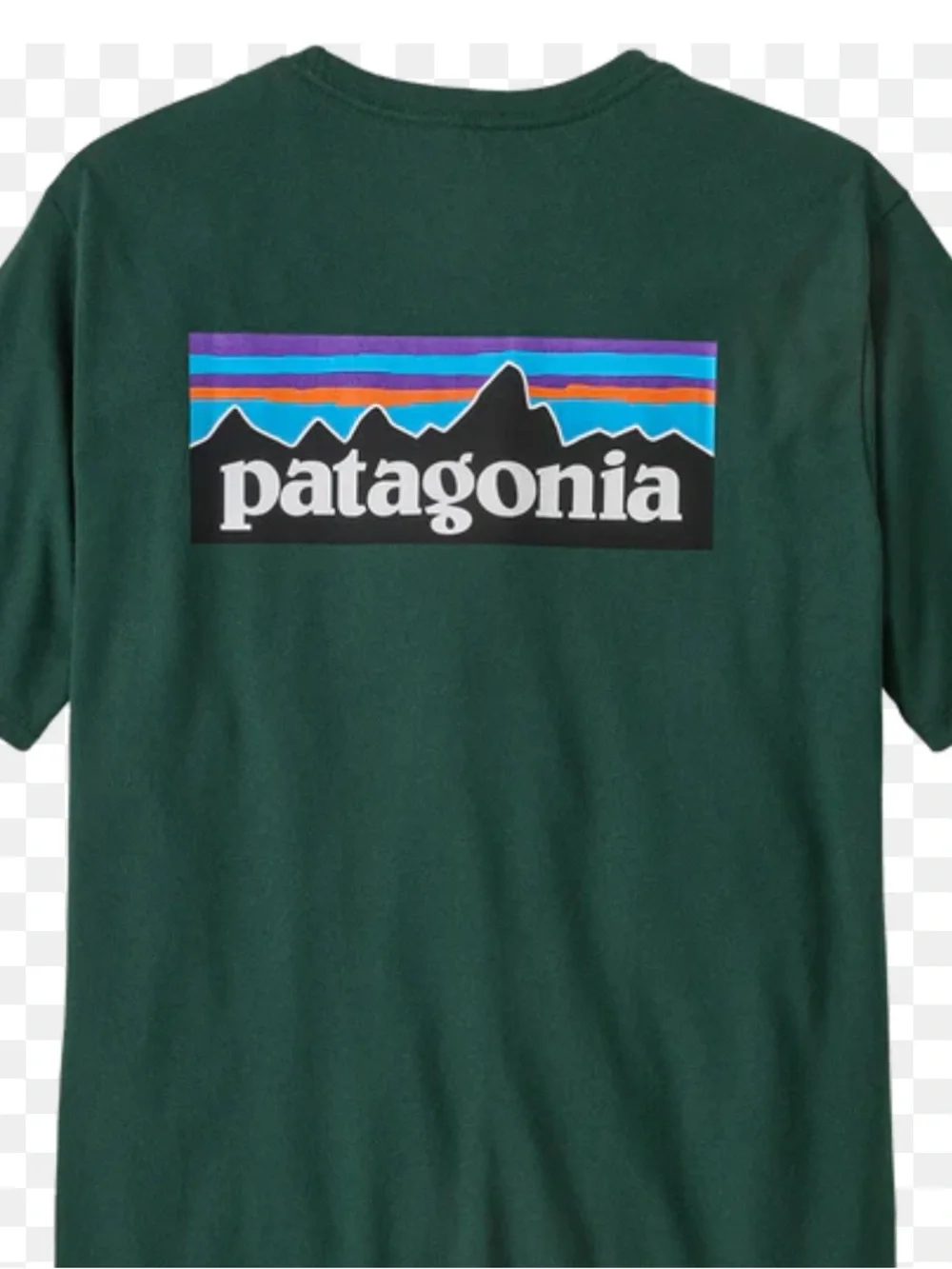 Patagonia Dark Green Kids P-6 Logo Tee with
